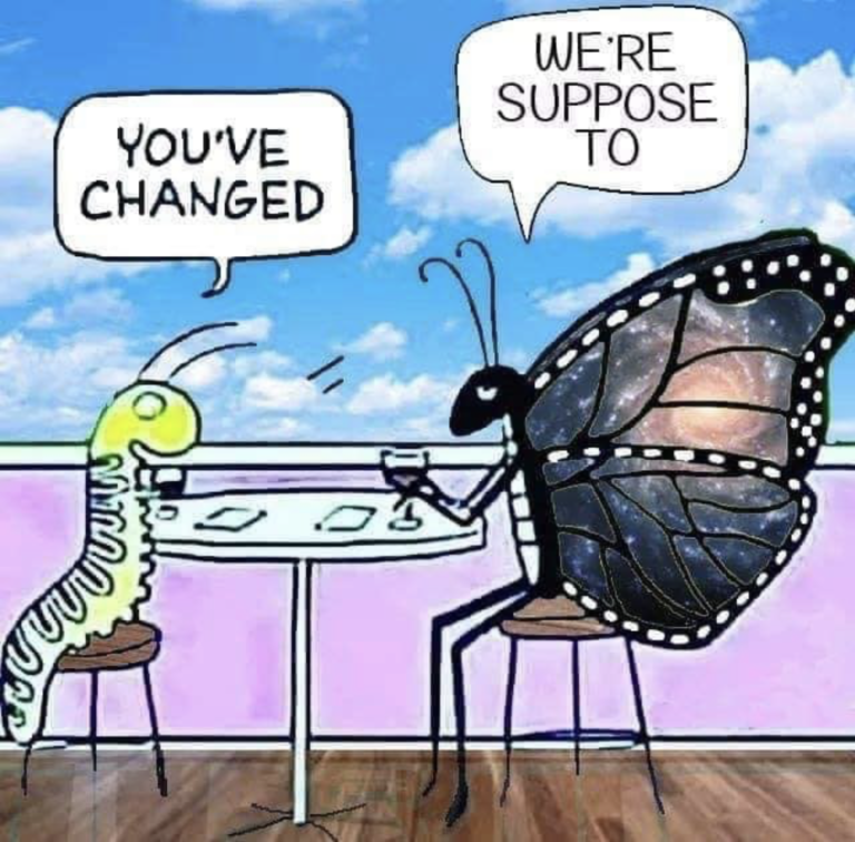 Cartoon of a green caterpillar sitting at a small table facing a majestic galaxy-winged butterfly. The caterpillar says, "YOU'VE CHANGED," and the butterfly replies, "WE'RE SUPPOSED TO." The scene humorously illustrates personal growth and transformation.