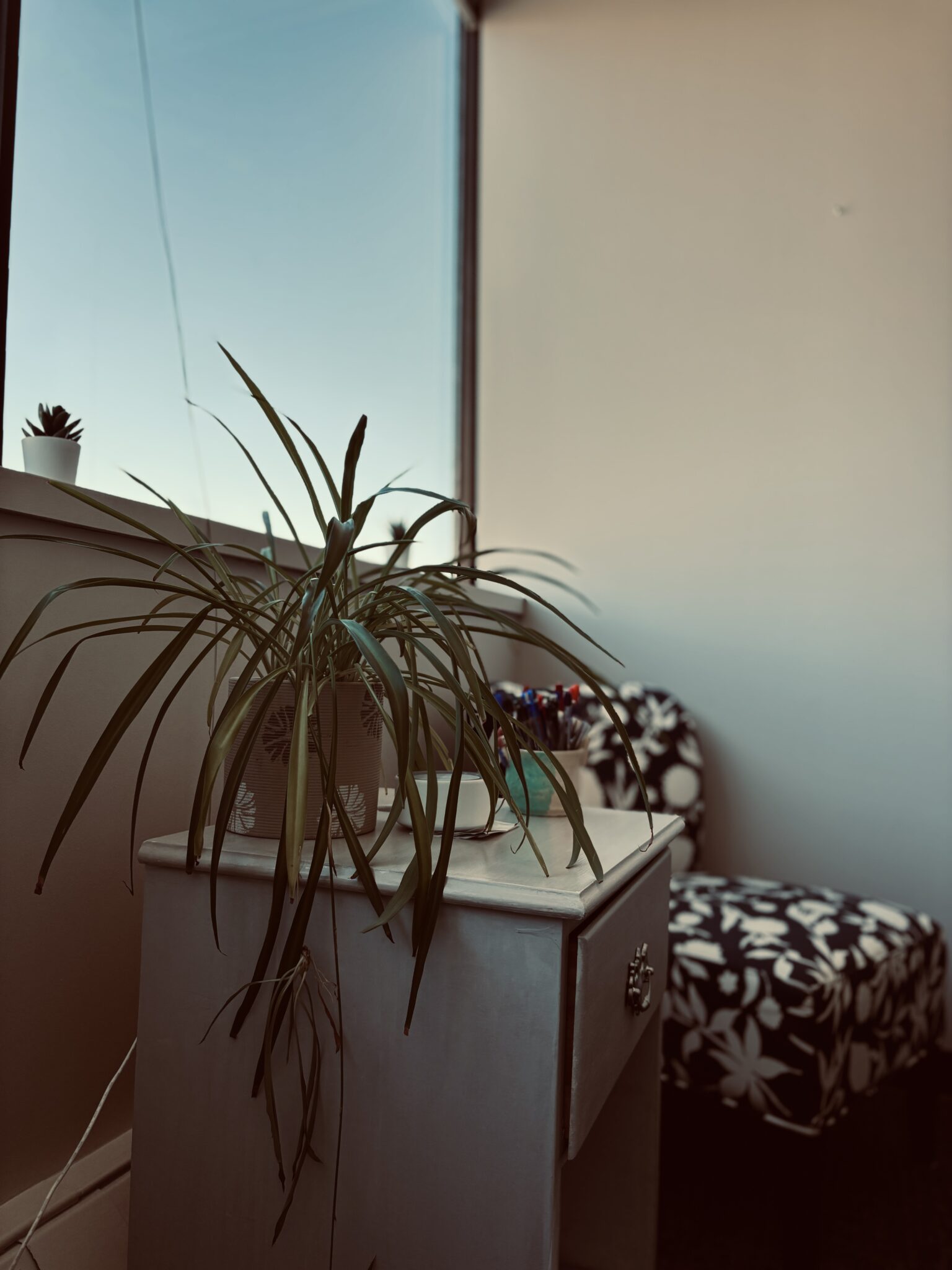 Office Space for Rent. Blue Room